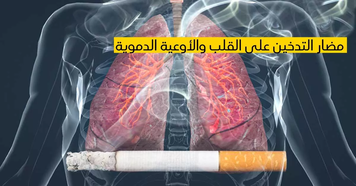 مضار التدخين على القلب والأوعية الدموية